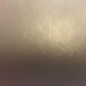 Meet your Posher, Daphne